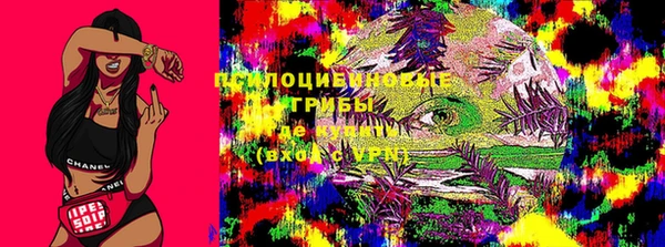 мдпв Заволжск
