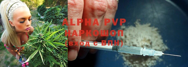 меф Арсеньев